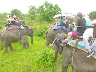 SAFARI POR EL CHITWAN NATIONAL PARK, EL LIBRO DE LA SELVA