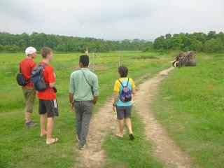 SAFARI POR EL CHITWAN NATIONAL PARK, EL LIBRO DE LA SELVA