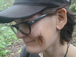 SAFARI POR EL CHITWAN NATIONAL PARK, EL LIBRO DE LA SELVA