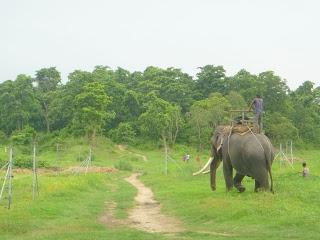 SAFARI POR EL CHITWAN NATIONAL PARK, EL LIBRO DE LA SELVA