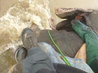 SAFARI POR EL CHITWAN NATIONAL PARK, EL LIBRO DE LA SELVA