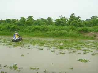SAFARI POR EL CHITWAN NATIONAL PARK, EL LIBRO DE LA SELVA