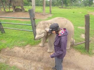 SAFARI POR EL CHITWAN NATIONAL PARK, EL LIBRO DE LA SELVA