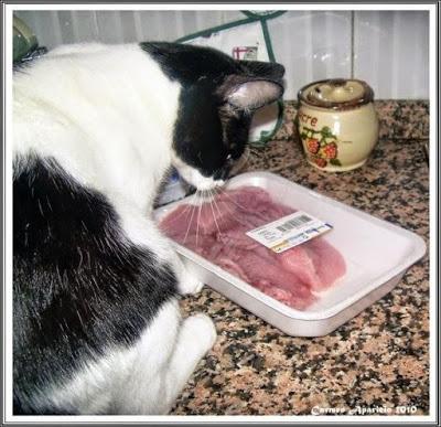 Mis fieles amigos se han dormido