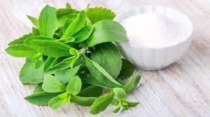 stevia