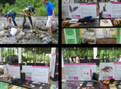 Programa “Ciudadano Científico”, Puerto Rico