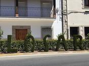 Decorado vegetal