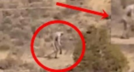 Video de a una ‘misteriosa criatura humanoide’ en un desierto de Portugal