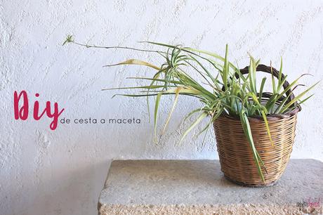 DIY: De cesta a maceta