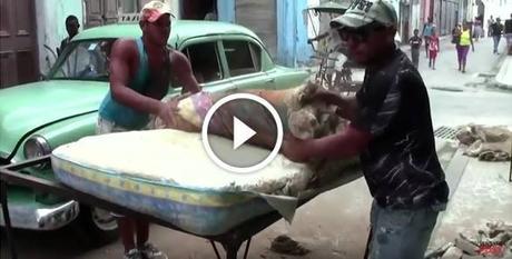 14101788_276978562685783_1450703194_n