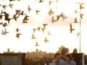 Exploding Girl (Bradley Rust Gray)