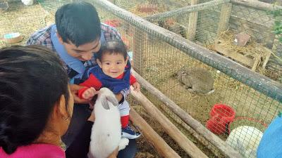 Feliz día del niño!! Día de excursión :D