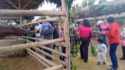 Feliz día del niño!! Día de excursión :D