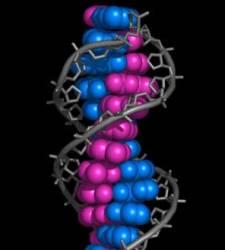 EL ADN DICE QUE TUTANKAMÓN MURIÓ DE PALUDISMO