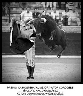 JAVIER JOSÉ VICIANO FERRÁNDEZ GANA EL PREMIO LADIS DE FOTOGRAFÍA TAURINA