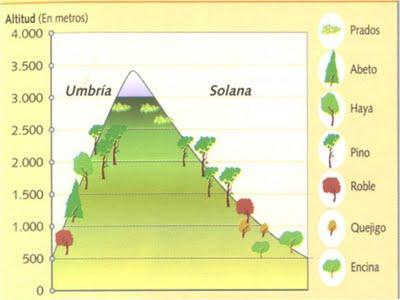 COMENTARIO DE UNA CLISERIE COMENTARIO DE UNA CLISERIE