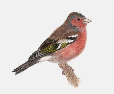 Más es menos... y más