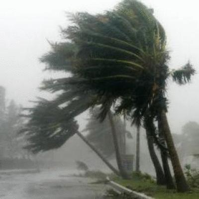 Y AUNQUE YA HOY SALE EL SOL...