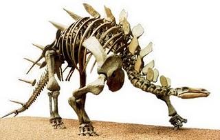 Kentrosaurus