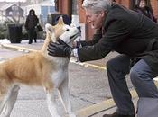 DdUAaC: Hachiko (2009)