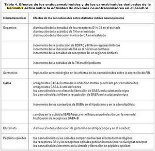 A la droga dile... ¿sí?