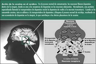A la droga dile... ¿sí?