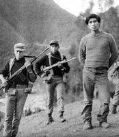 Psicopatología entre las víctimas de la violencia en el Perú 1980-2000 *