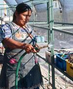 En la plataforma de acción de la ONU: La mujer, el medio ambiente y el desarrollo sostenible