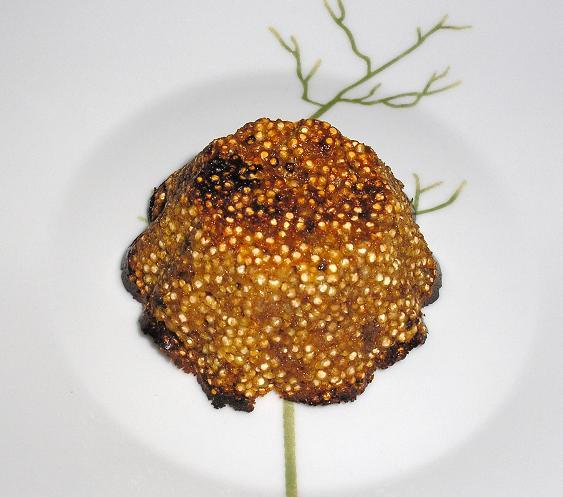 Magdalenas de quinoa con chocolate a la naranja