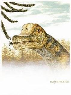 Encontrados intacos craneos de nuevos dinosaurios