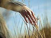 Tocar presencia Dios medio enfermedad terminal