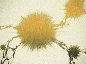 Motorpsycho Before Flood: