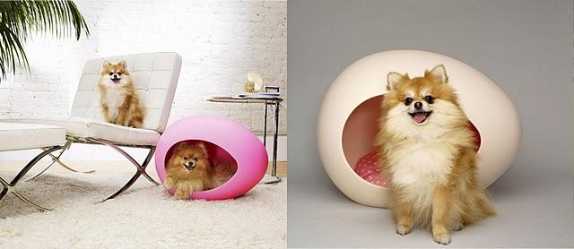 pEi Pod para mascotas