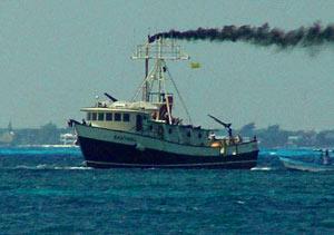 Cinco hombres llegaron, y salieron seis: de acuerdo a pescadores locales y testigos el “Santrina” fue a Miami con un pasajero extra a bordo. Foto: D.R. 2005 Mario Alonzo, Por Esto!