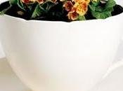 defensa objetos Bellos