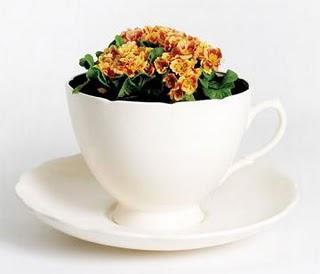 En defensa de los objetos Bellos