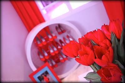 Viajando a La Casa Roja de Evax en Madrid