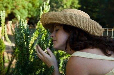 Jardín de los Perfumes : Proyecto de la paisajista Kathryn Gustafson para el Parque Central de Valencia