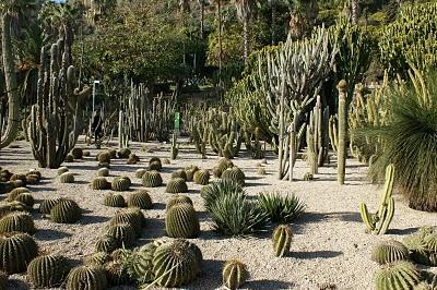 Reabren al público los Jardines de Mossèn Costa i Llobera. Reabren al público los Jardines de Mossèn Costa i Llobera.