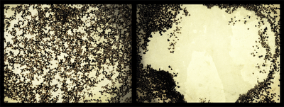 La ciencia es simple...