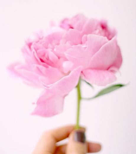 Sencillos centro de mesa con flores en color rosa Sencillos centro de mesa con flores en color rosa