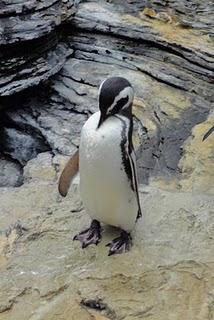 Oceanario de Lisboa