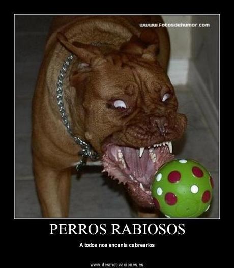 Dos brevísimos apuntes de Derecho