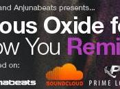 Nitrous Oxide busca remezcladores para 'Follow You'