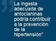 Comer frambuesas o berenjenas reduce el riesgo de hipertensión