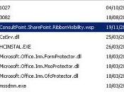 Como instalar extensión SharePoint 2010