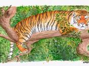 Watercolor tiger