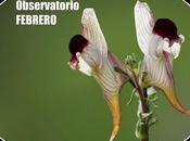 Observatorio botánico FEBRERO