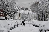 nieve inglaterra Algo está cambiando, y no es el clima