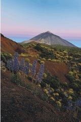 Una de las miradas de Pepe Sánchez